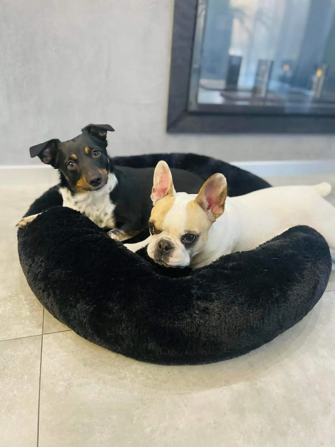 Velinda Lit Donut Nuage Chien Chat 75cm Noir
