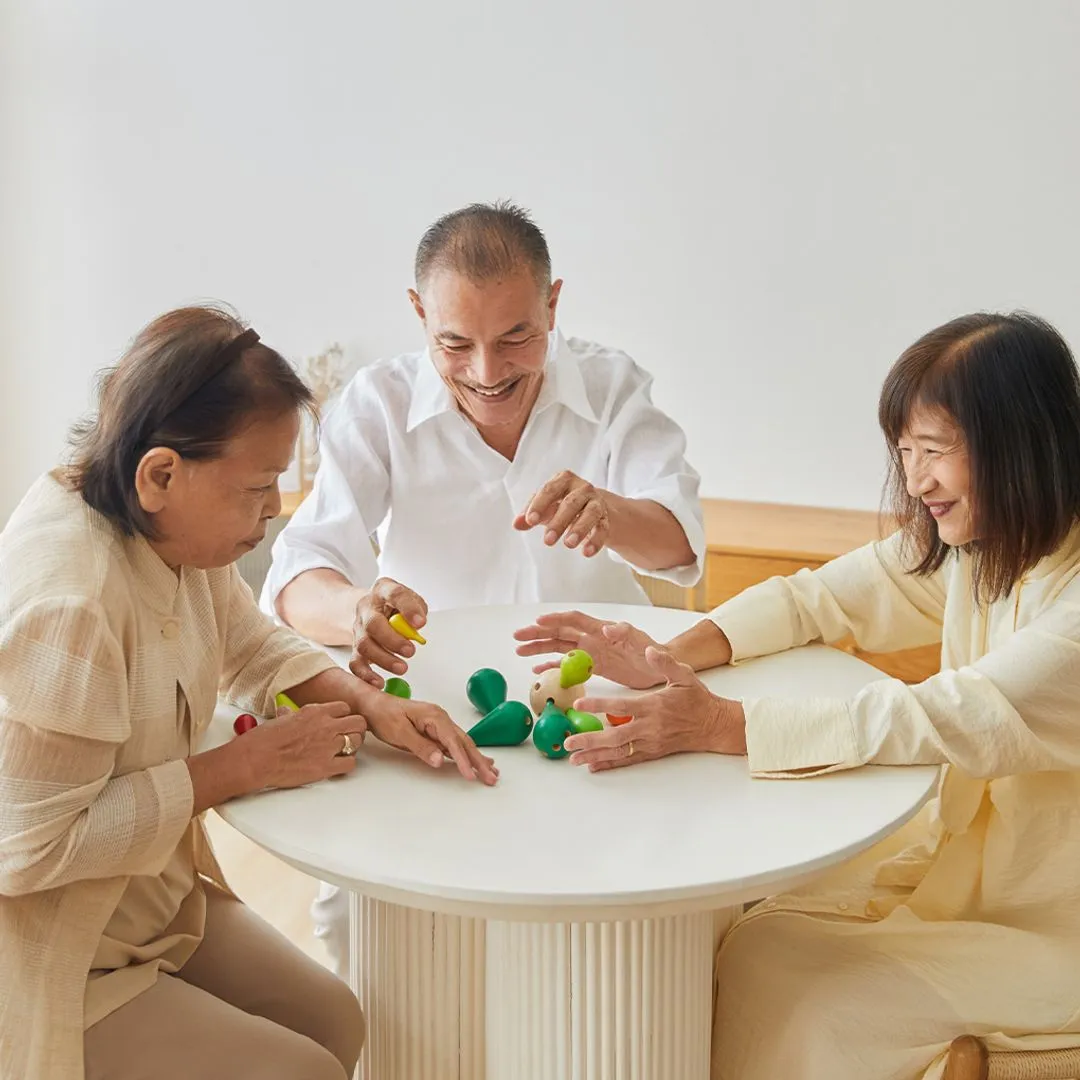 PlanToys Balancing Cactus jeu équilibre bois 3-99 ans