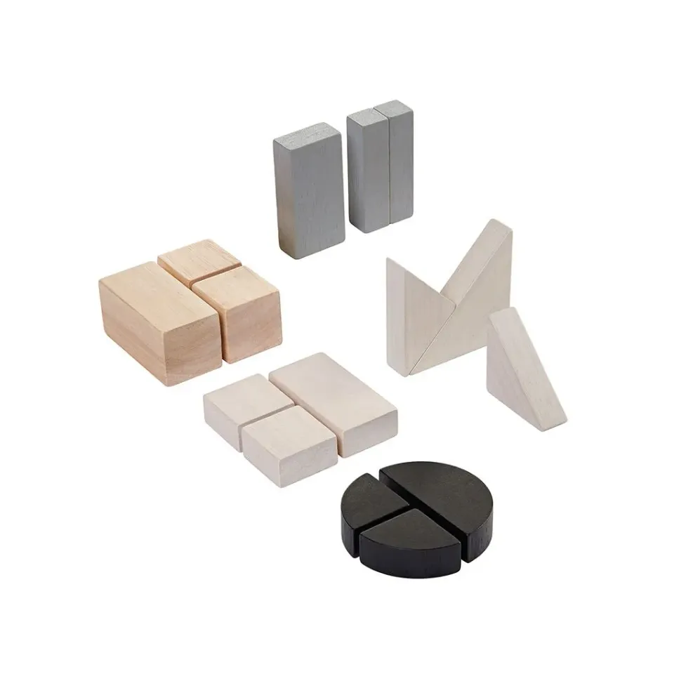 PlanToys Fraction Blocks blocs fractions géométrie 18 mois