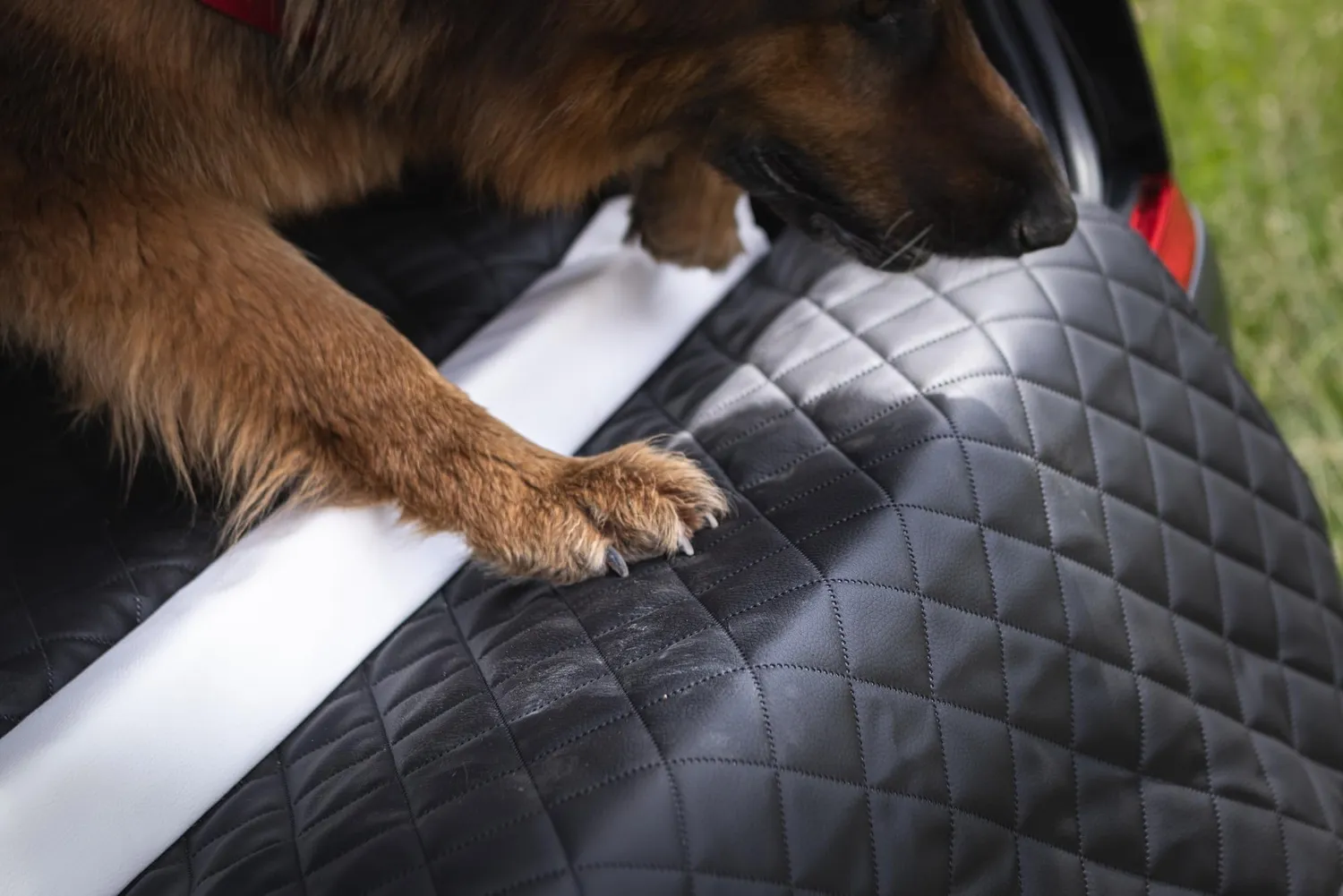 Velinda lit coffre transporteur chien noir 100x90cm matelas