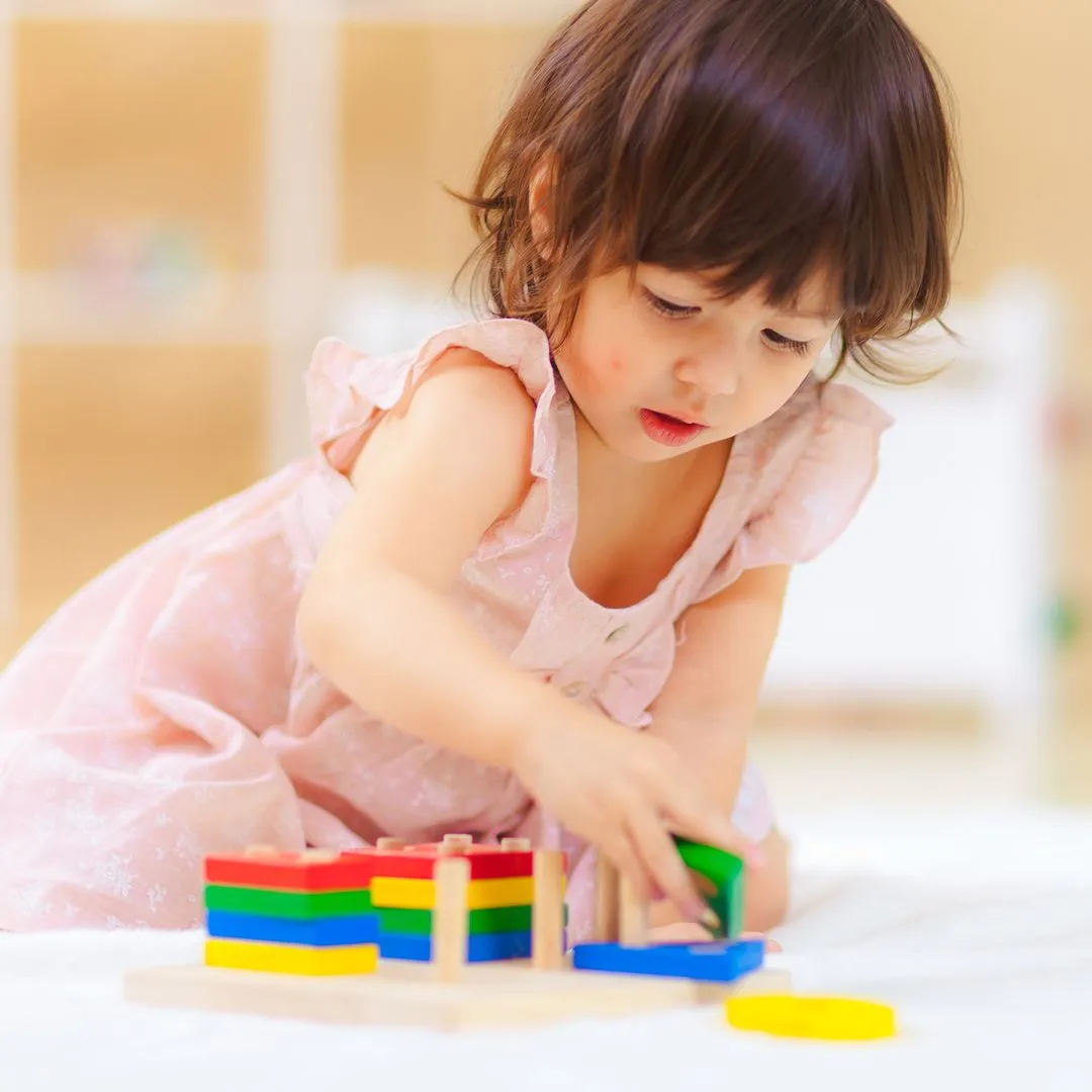 PlanToys Geometric Sorting Board jeu de tri formes en bois