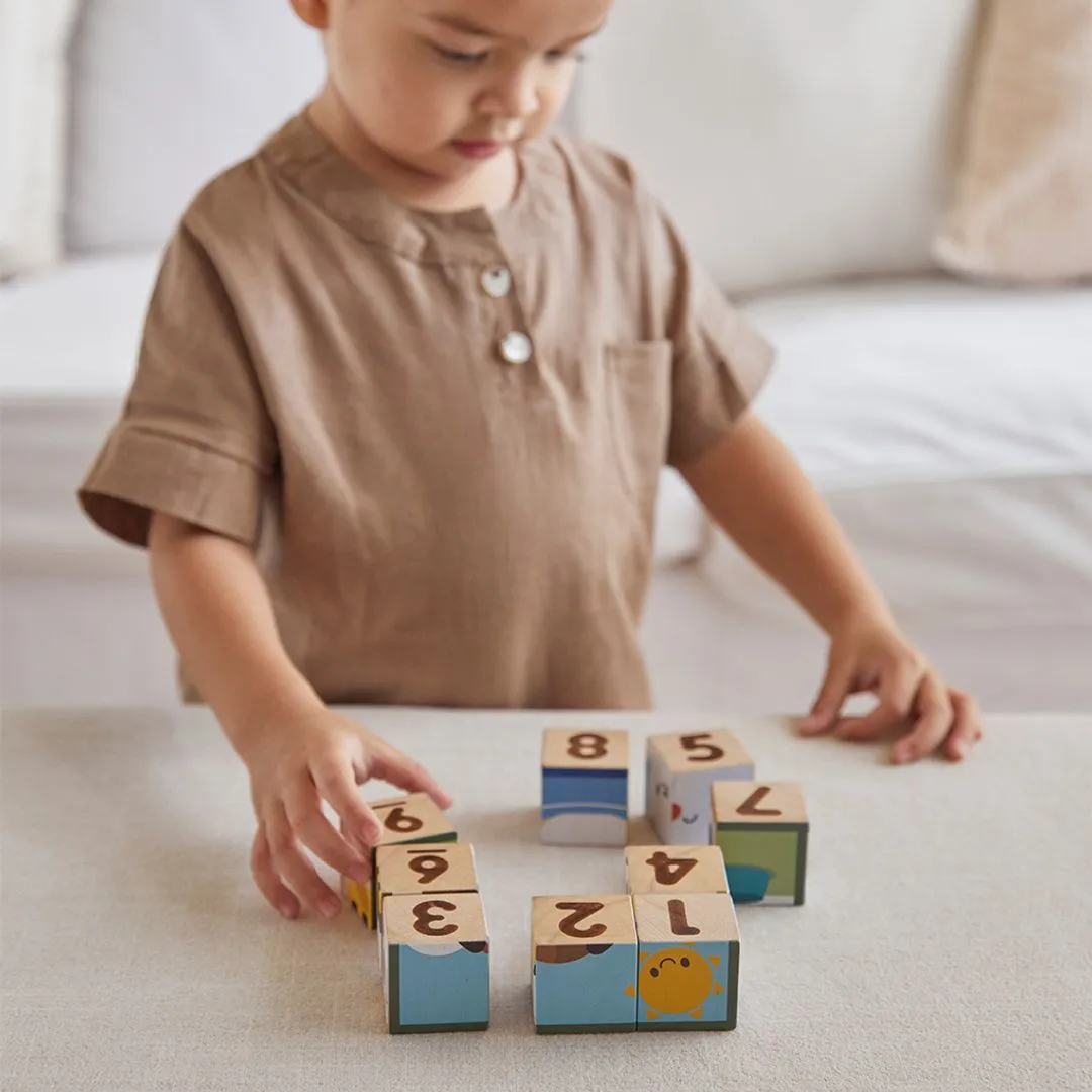 PlanToys Animal Puzzle Cubes puzzle bois 9 cubes