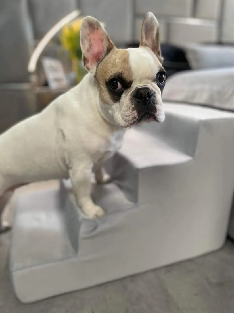 Velinda escalier mousse chien chat 4 marches rose