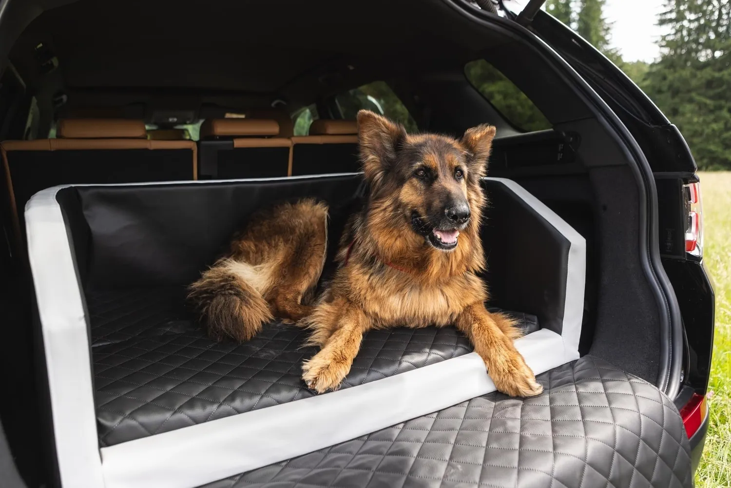 Velinda lit coffre transporteur chien noir 100x90cm matelas