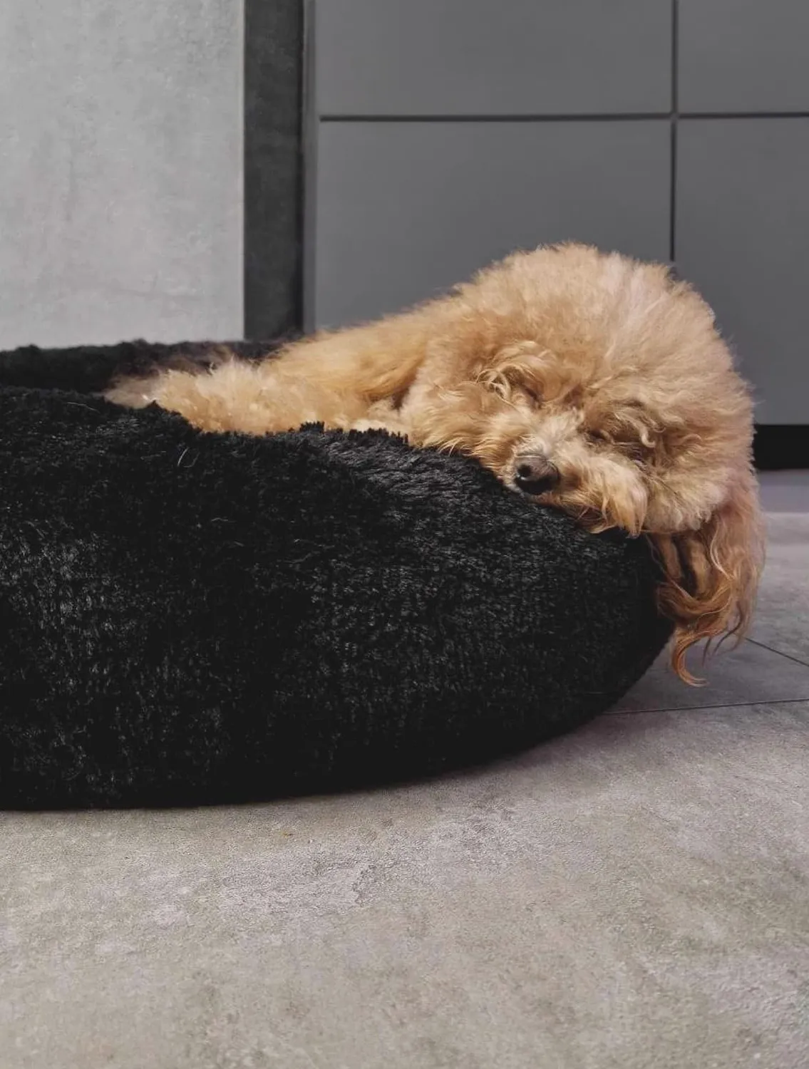 Velinda Lit Donut Nuage Chien Chat 60cm Gris