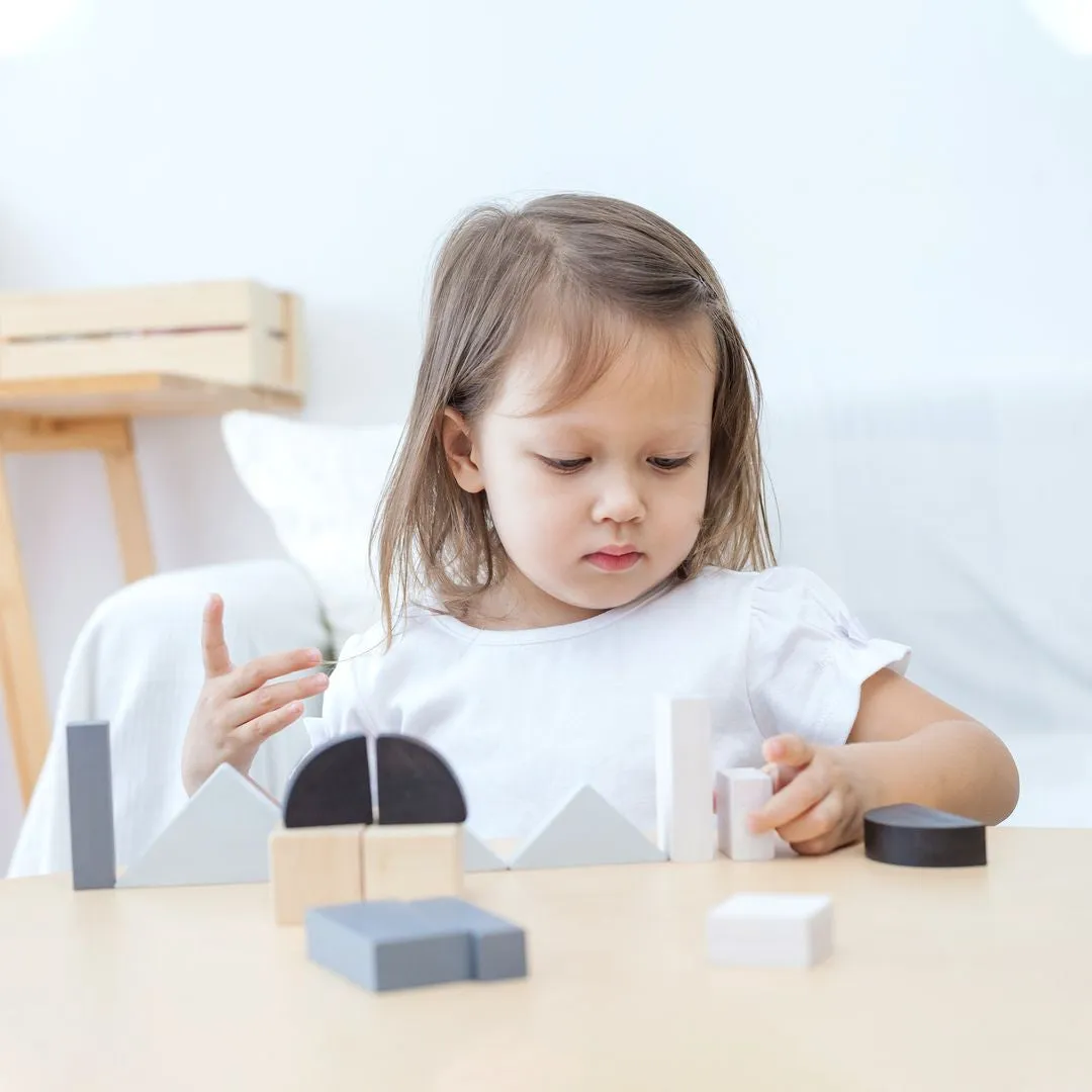 PlanToys Fraction Blocks blocs fractions géométrie 18 mois