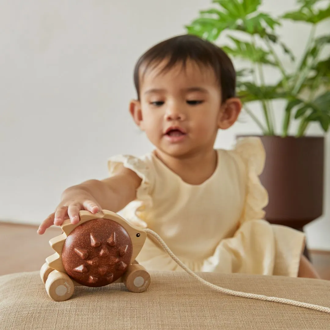 PlanToys Pull-Along Hedgehog hérisson marron à tirer