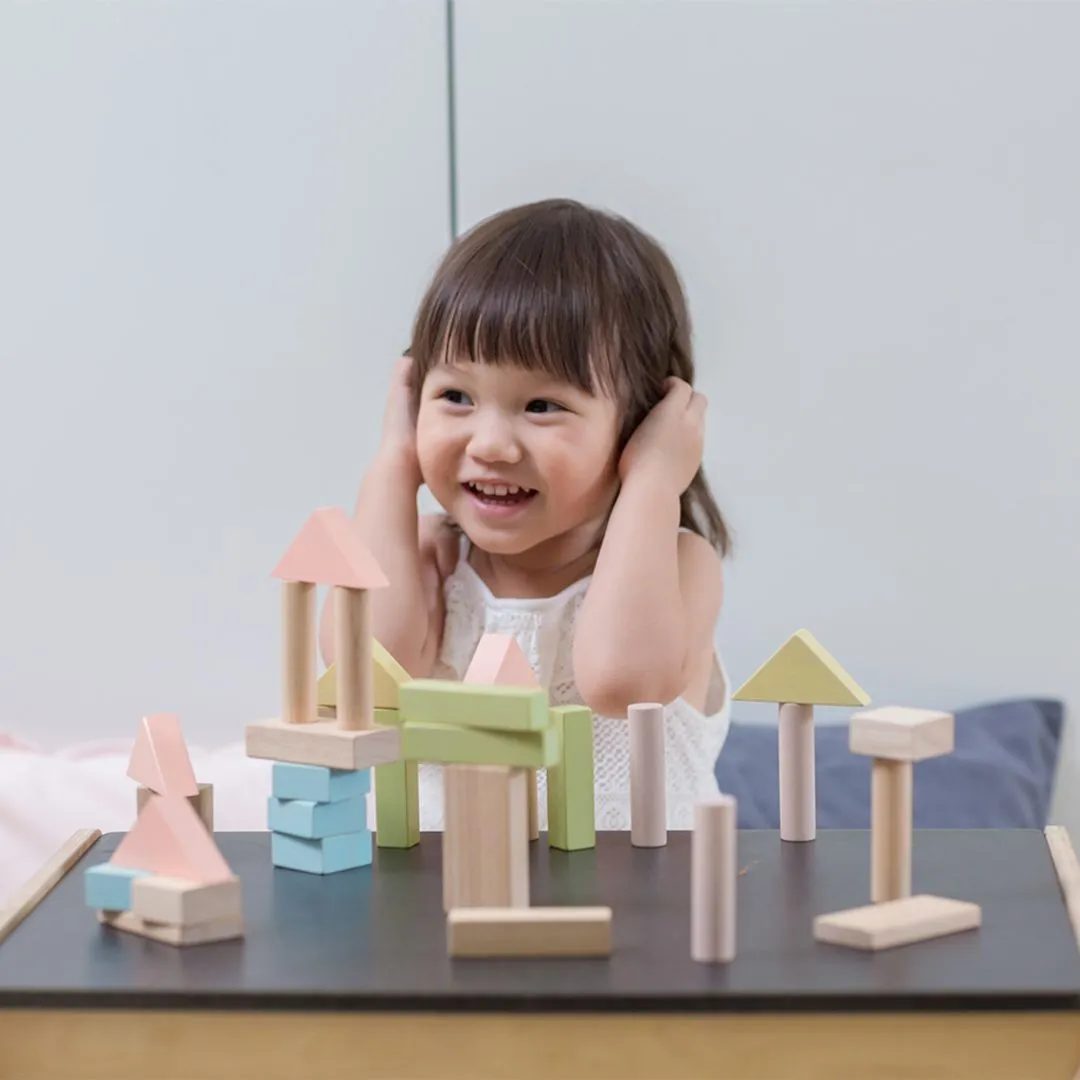 PlanToys 40 Unit Blocks cubes construction 40 pastel