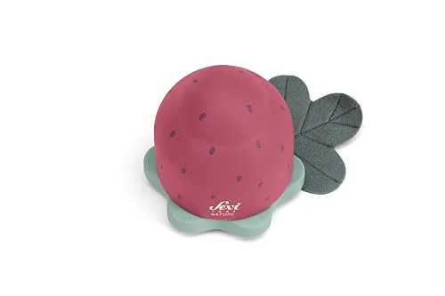 Trudi Sevi 83135 carillon bois fraise 9,5 cm musical