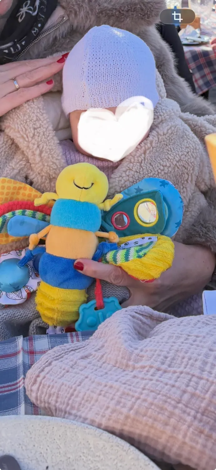Tomy Lamaze Flip Flap Dragon peluche éveil naissance