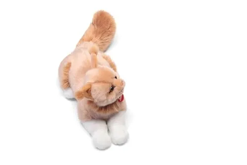 Trudi Maine Coon Vittorio 21046 peluche chat M