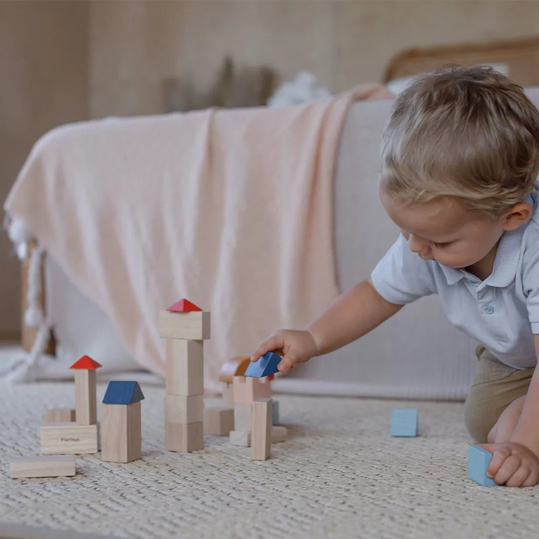 PlanToys Creative Blocks Orchard cubes bois 30 pièces