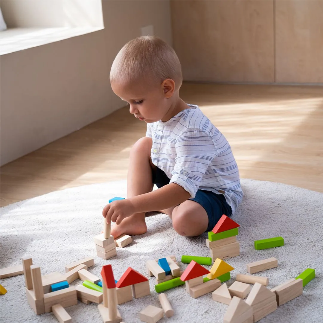 PlanToys Unit Blocks 40 blocs de construction en bois colorés