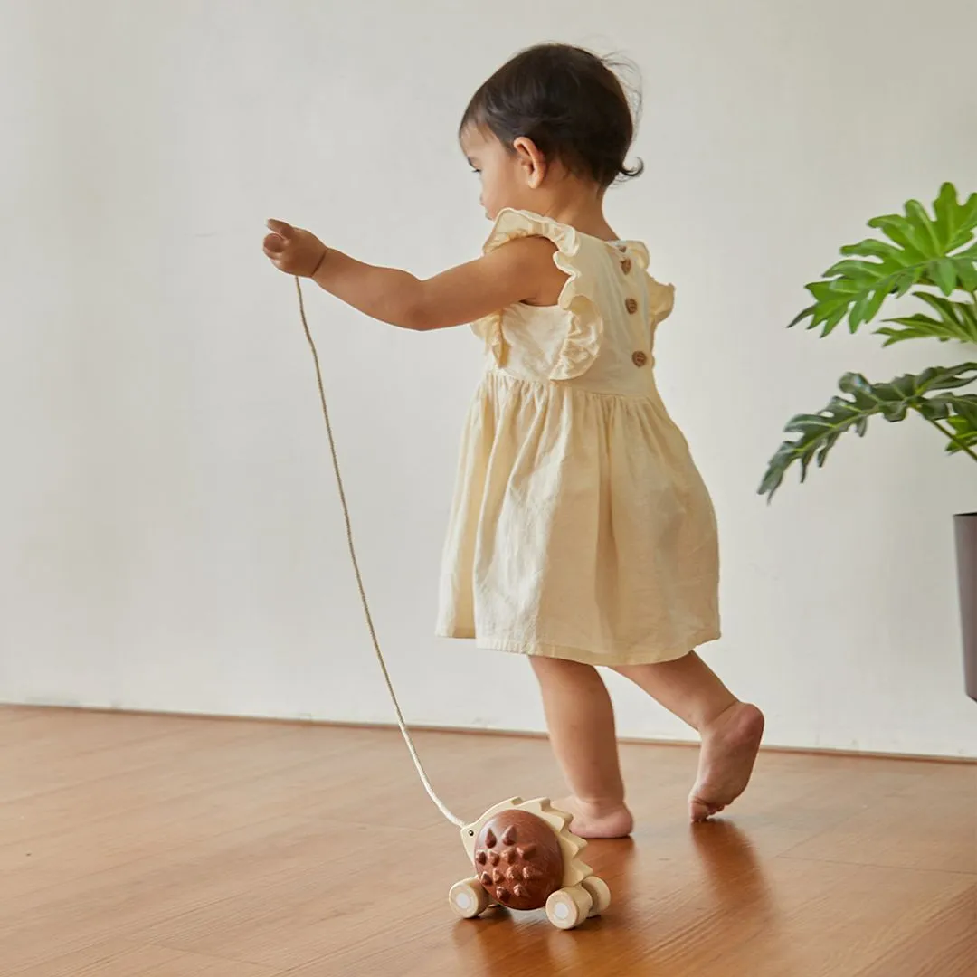 PlanToys Pull-Along Hedgehog hérisson marron à tirer