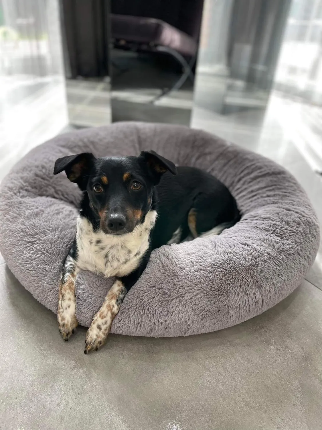 Velinda Lit Donut Nuage Chien Chat 75cm Noir