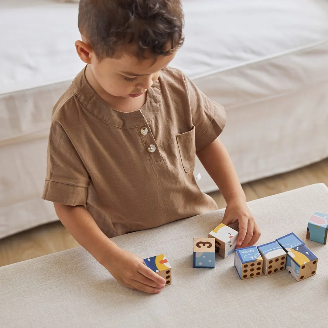 PlanToys Animal Puzzle Cubes puzzle bois 9 cubes