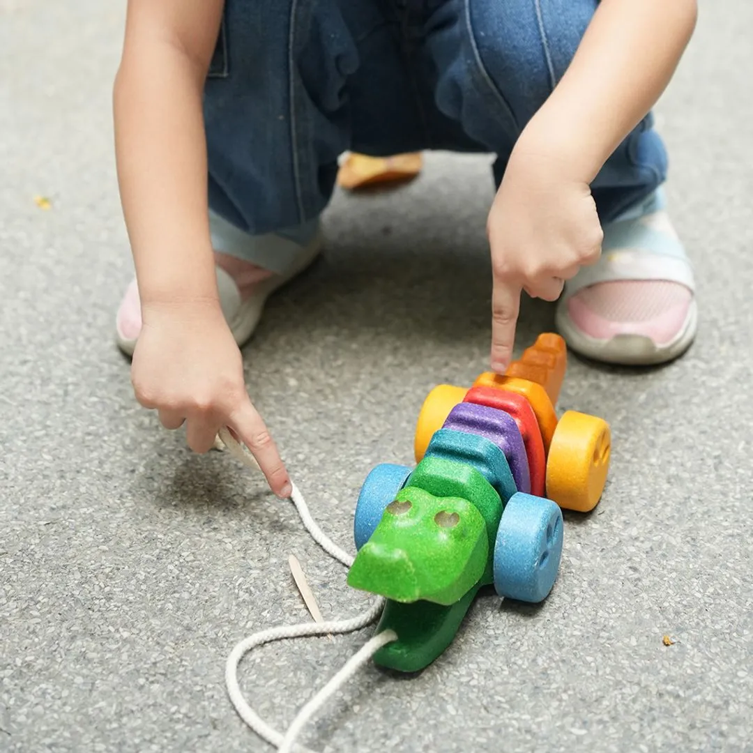 PlanToys Rainbow Alligator Jouet à Tirer Bois Multicolore