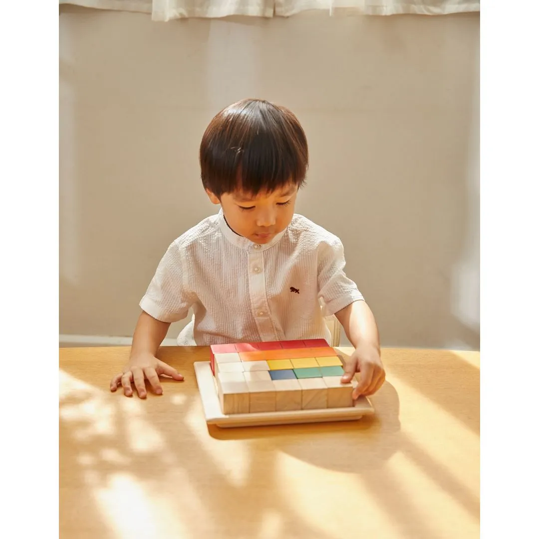 PlanToys Unit Plus Blocs à compter couleur bois 18 mois