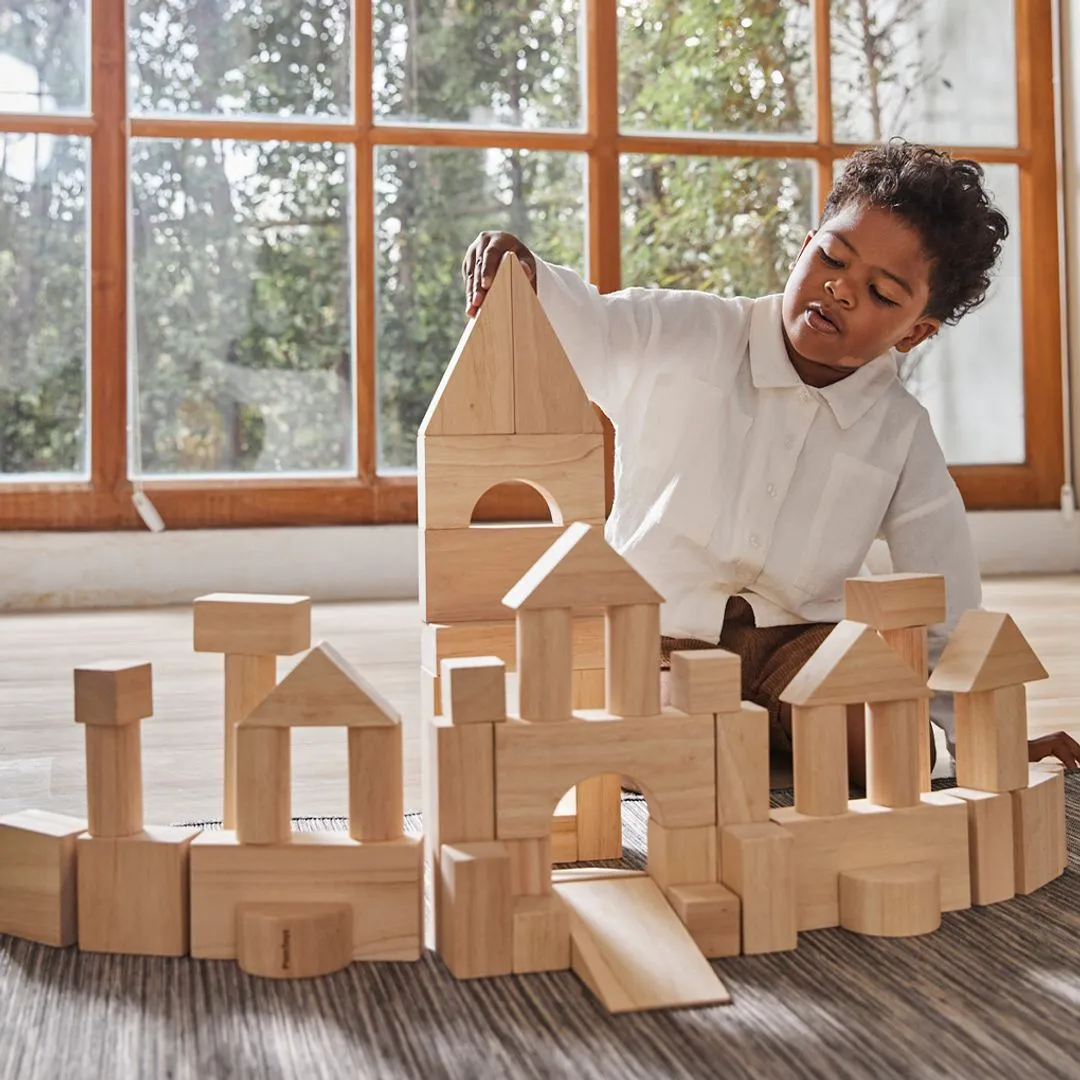 PlanToys 50 Unit Blocks cubes construction bois 18 mois