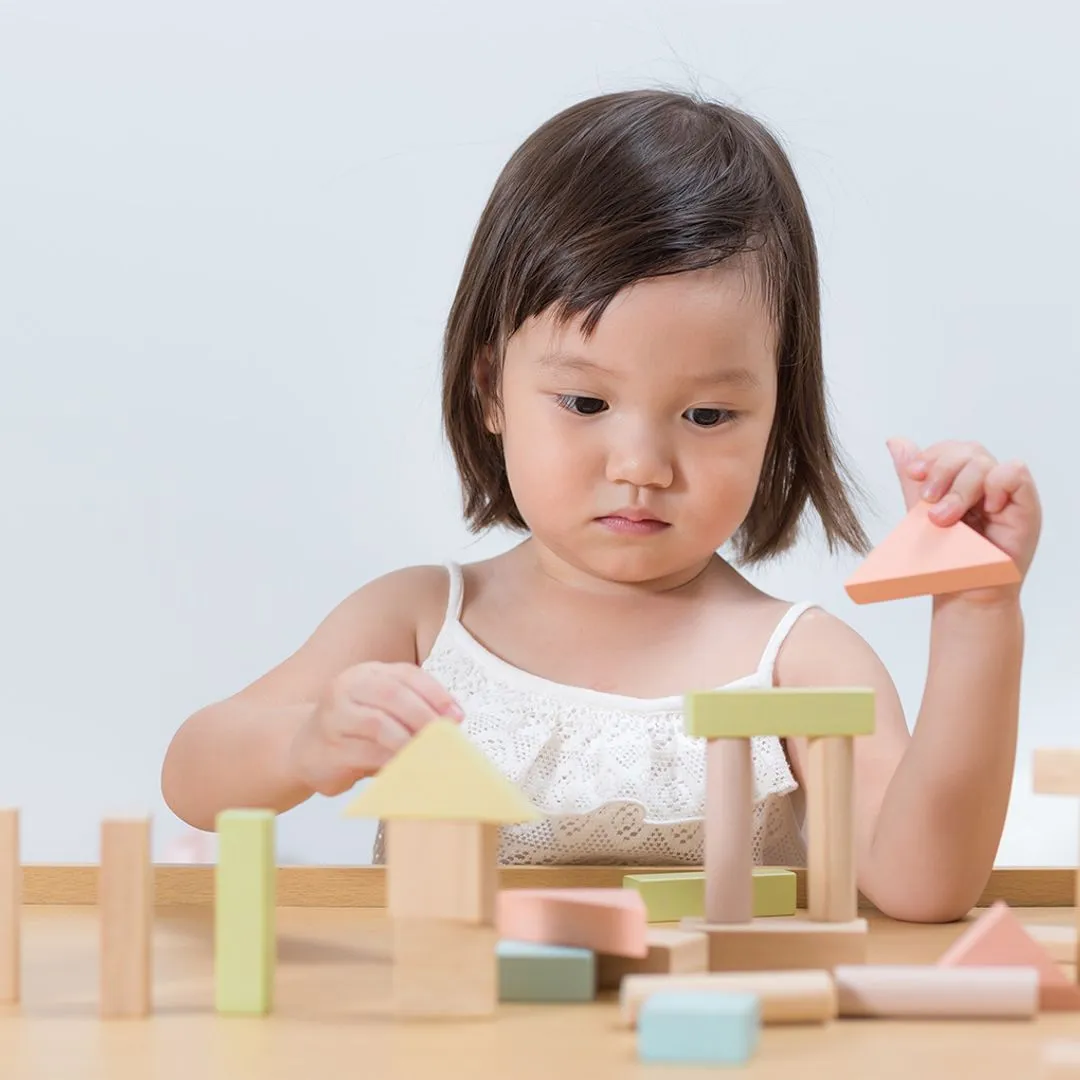 PlanToys 40 Unit Blocks cubes construction 40 pastel