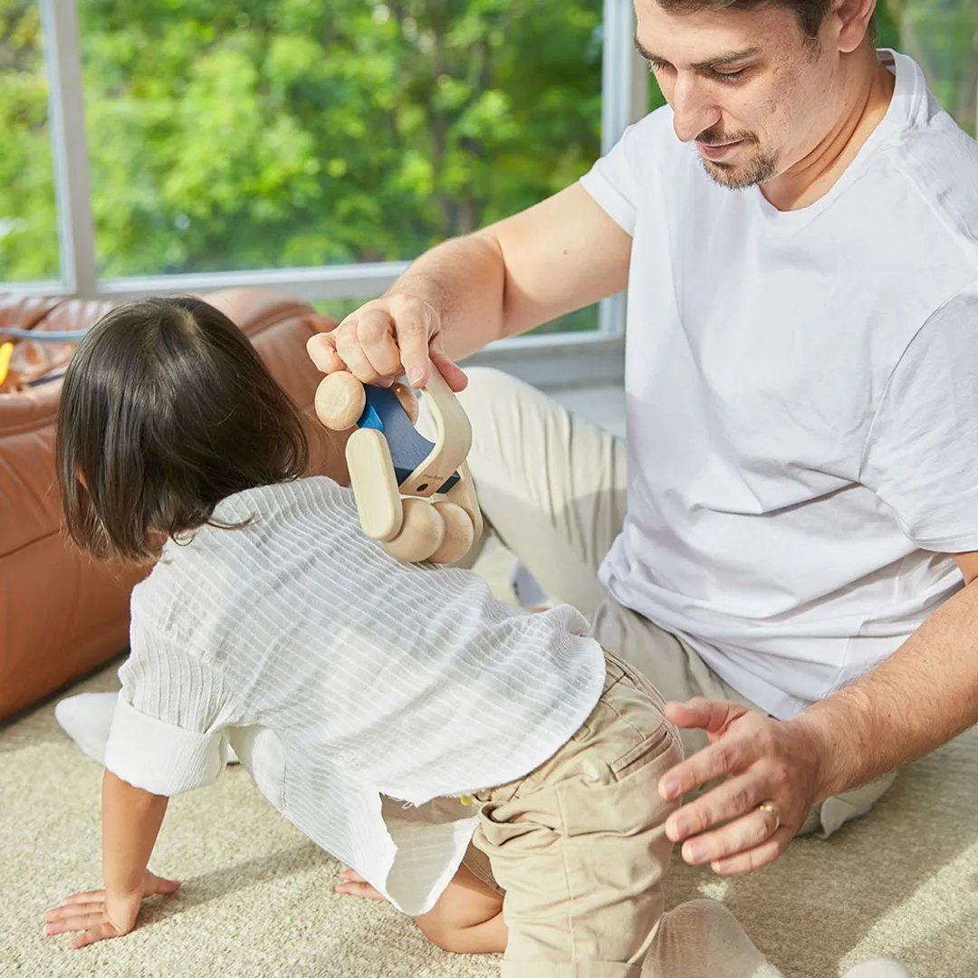 PlanToys Massage Roller rouleau de massage bois
