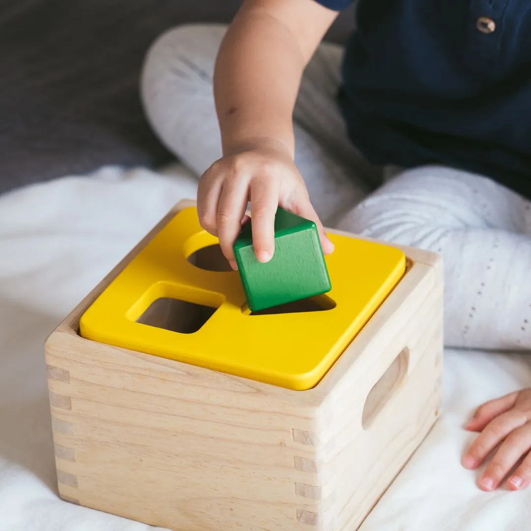 PlanToys Shape & Sort It Out boîte à formes bois 12 mois