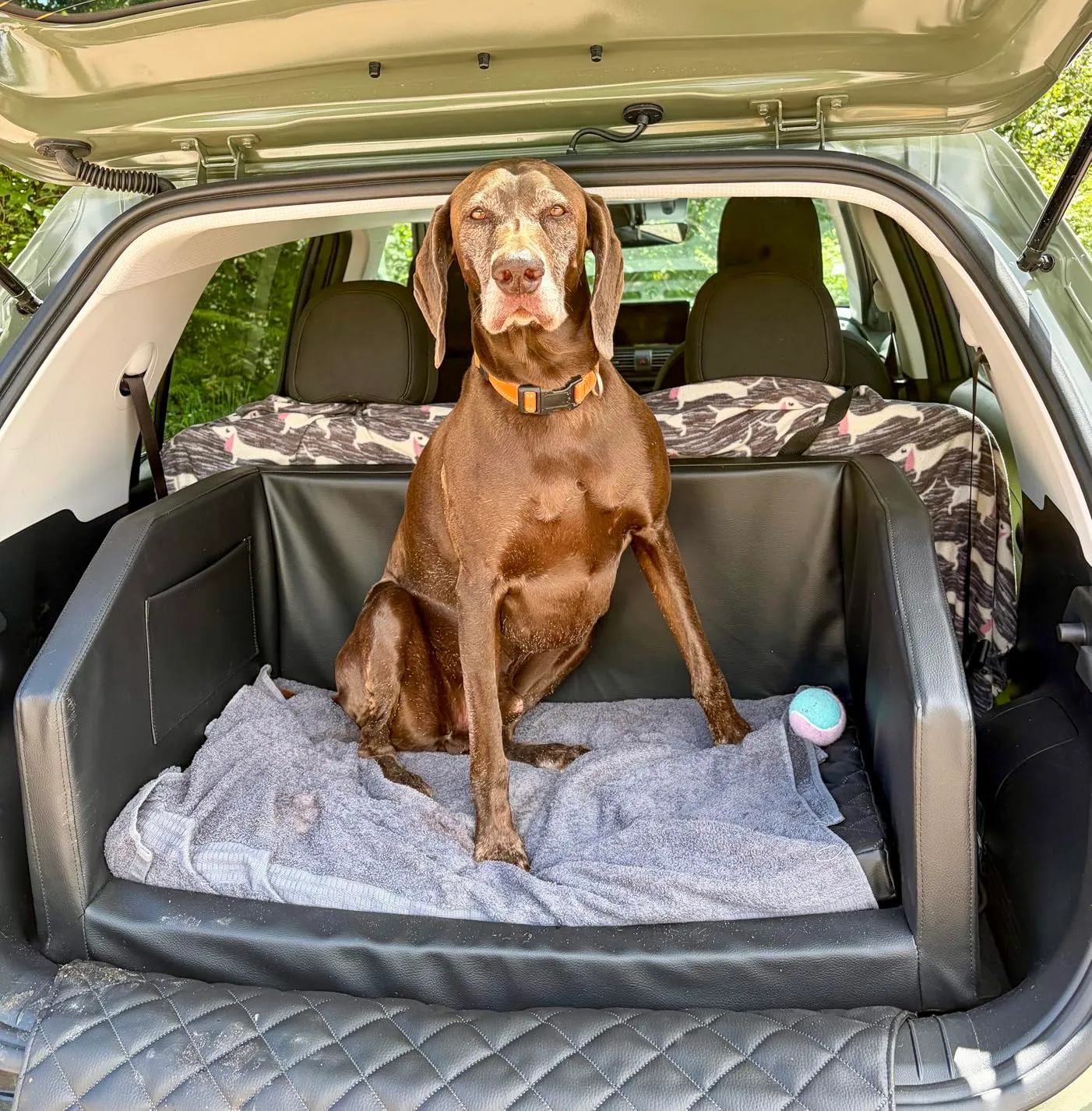 Velinda lit de coffre transporteur chien noir 90x55 cm