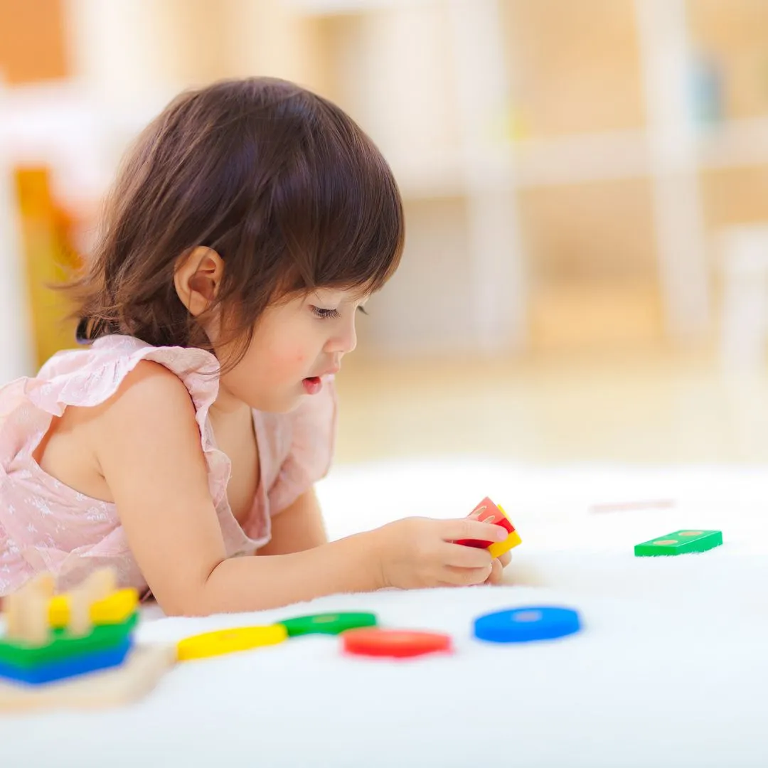 PlanToys Geometric Sorting Board jeu de tri formes en bois
