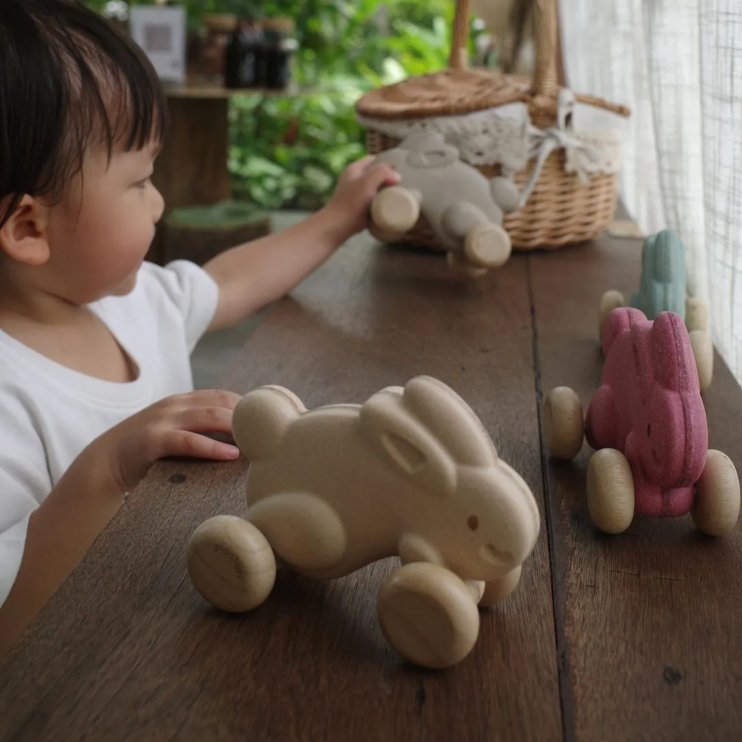 PlanToys Push Along Bunny lapin à pousser blanc