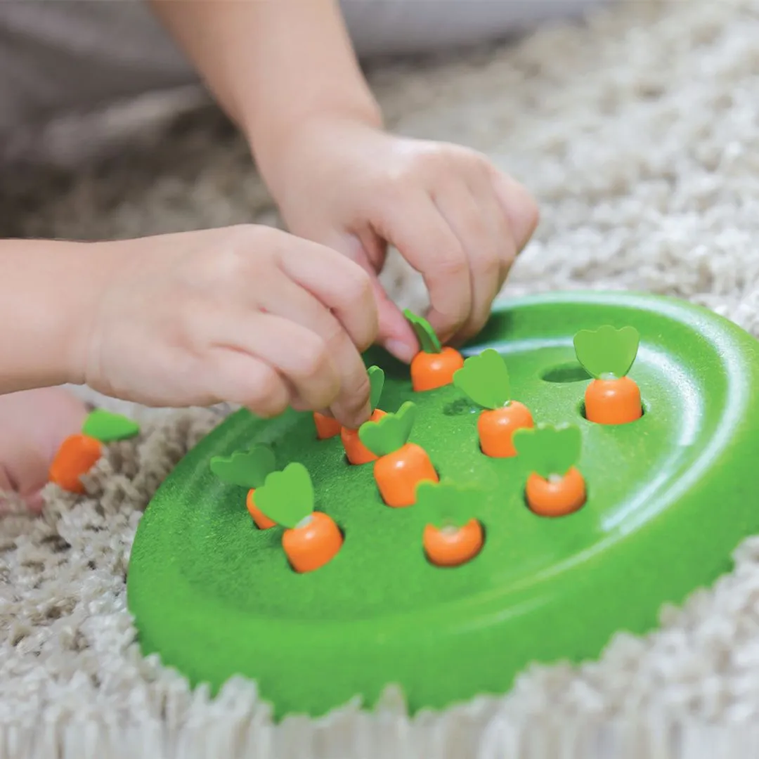 PlanToys Solitaire jardin carottes jeu bois dès 3 ans