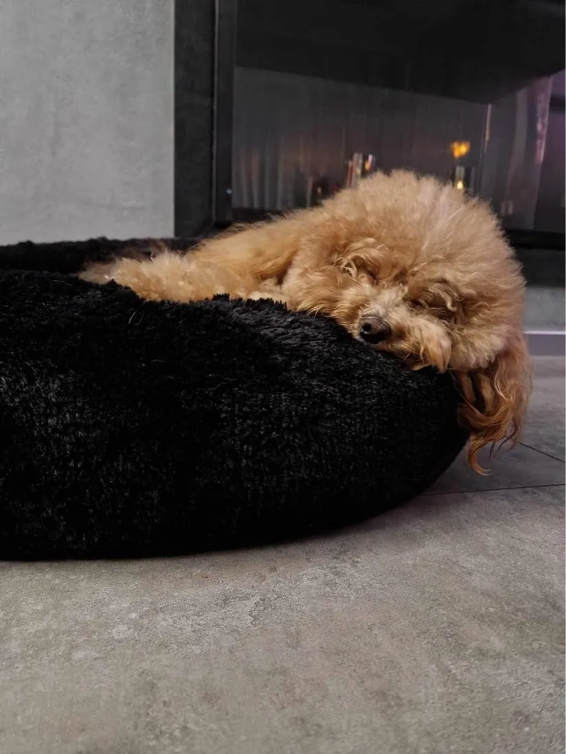 Velinda Lit Donut Nuage Chien Chat 75cm Noir