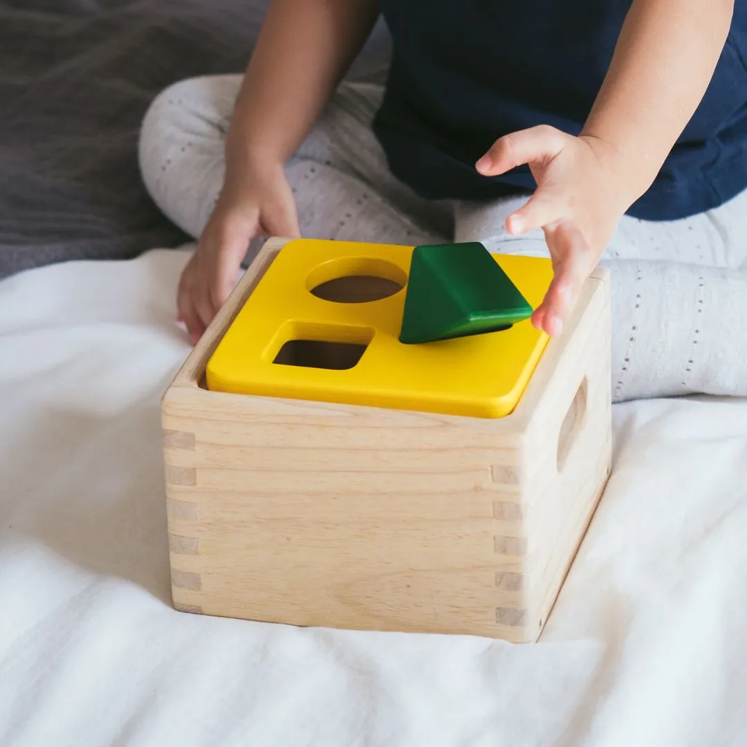 PlanToys Shape & Sort It Out boîte à formes bois 12 mois