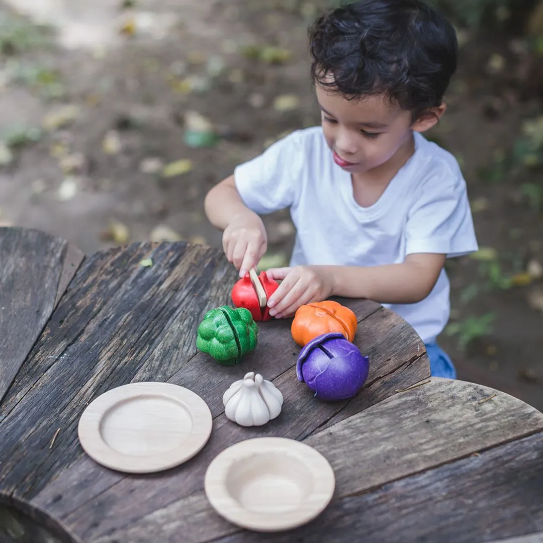 PlanToys Veggie dinette légumes à découper 5 couleurs