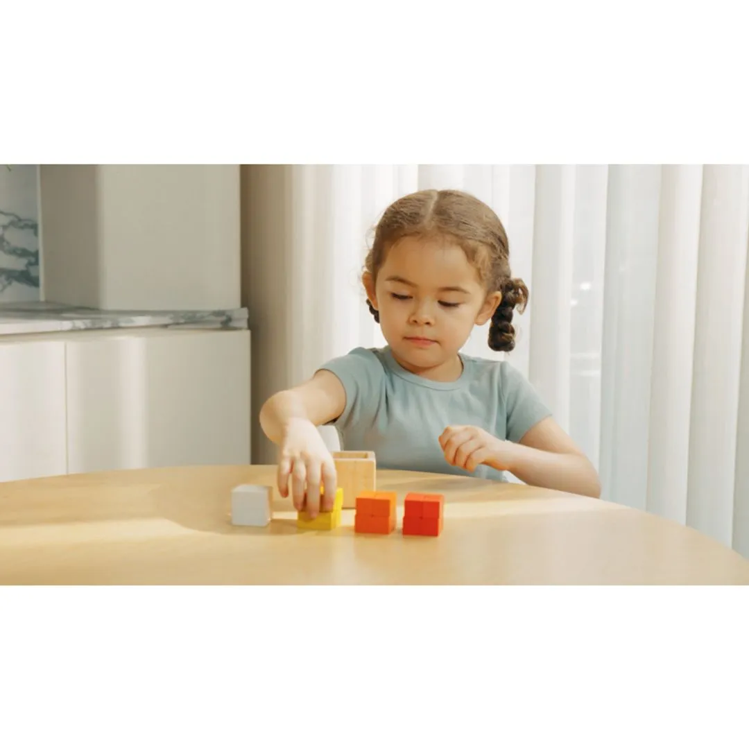 PlanToys Fraction Cubes jeu fractions bois dès 3 ans