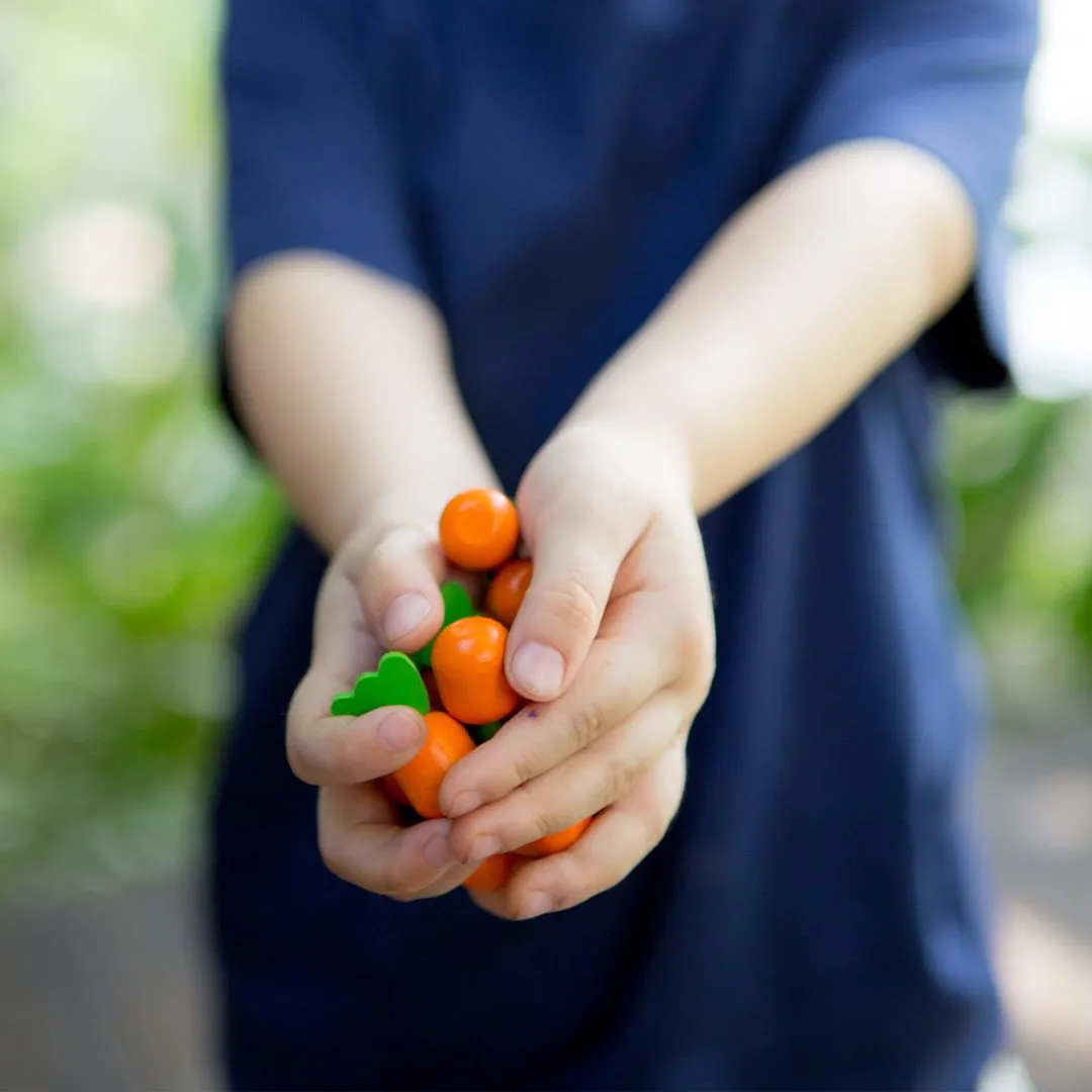 PlanToys Solitaire jardin carottes jeu bois dès 3 ans