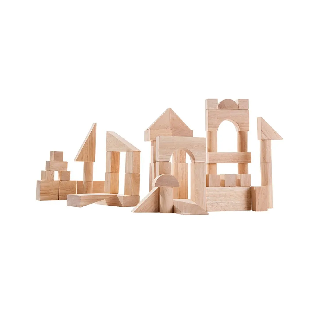 PlanToys 50 Unit Blocks cubes construction bois 18 mois