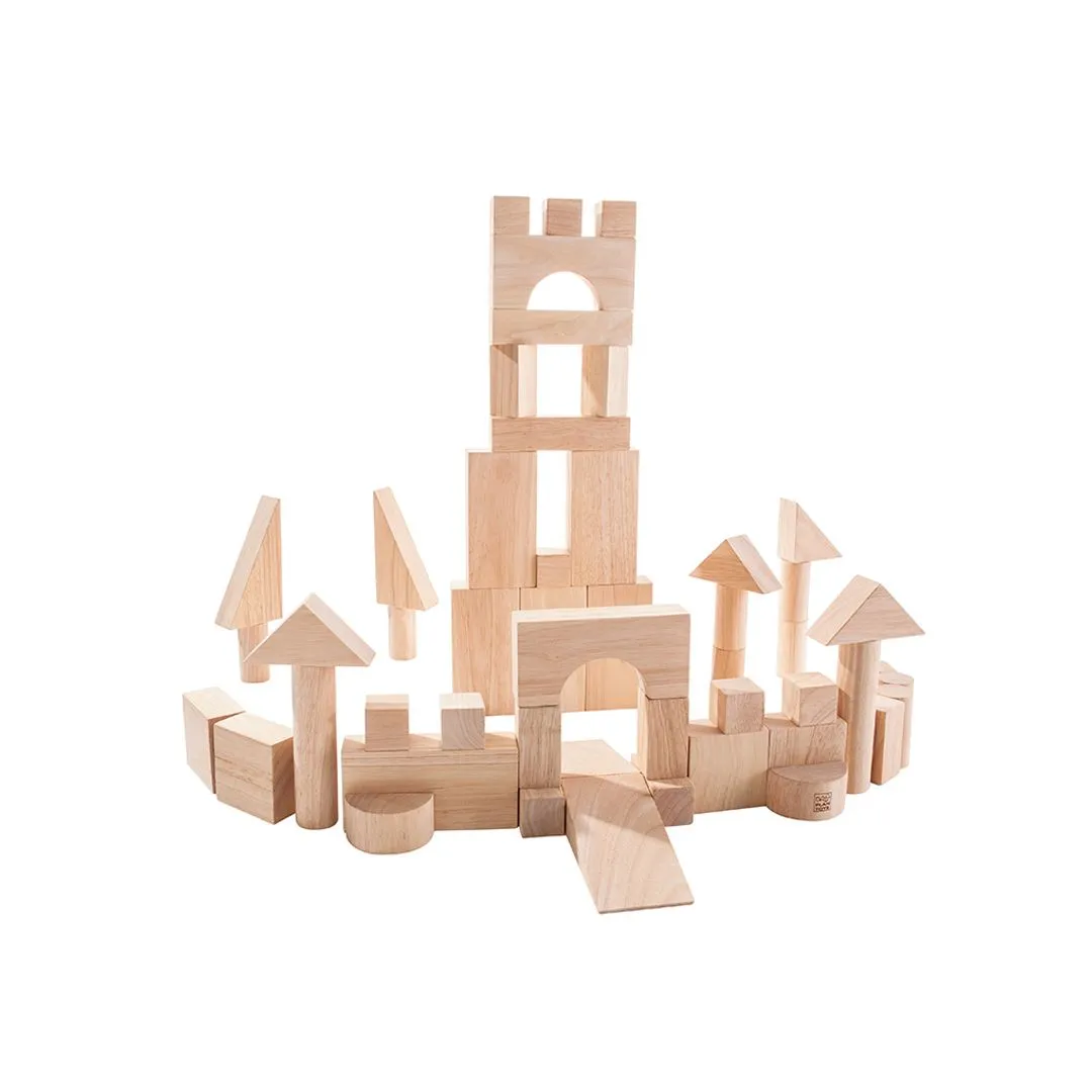 PlanToys 50 Unit Blocks cubes construction bois 18 mois