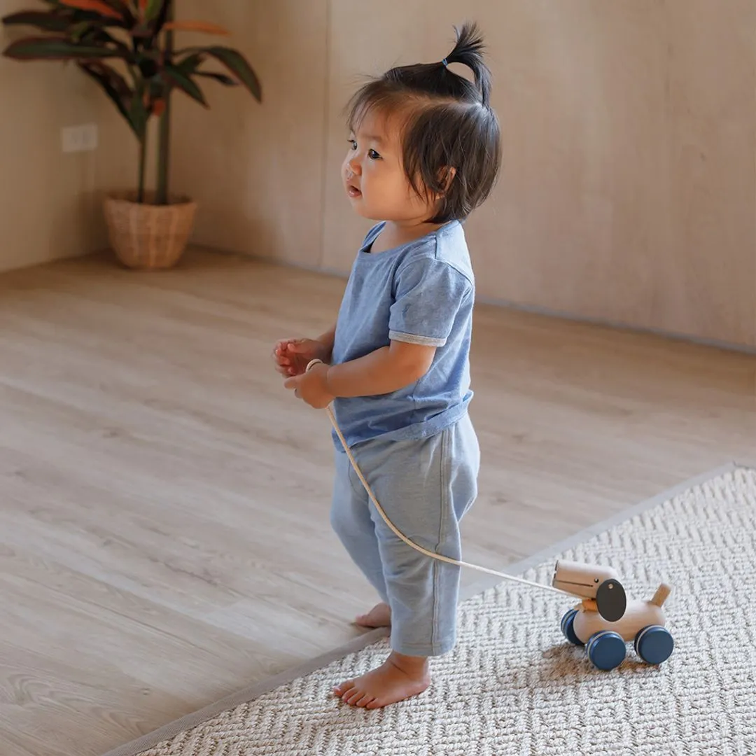 PlanToys Push & Pull Puppy jouet à tirer chien bois