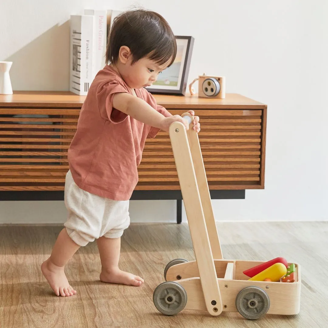 PlanToys Musical Bird Walker pousseur musical bois 9 mois+
