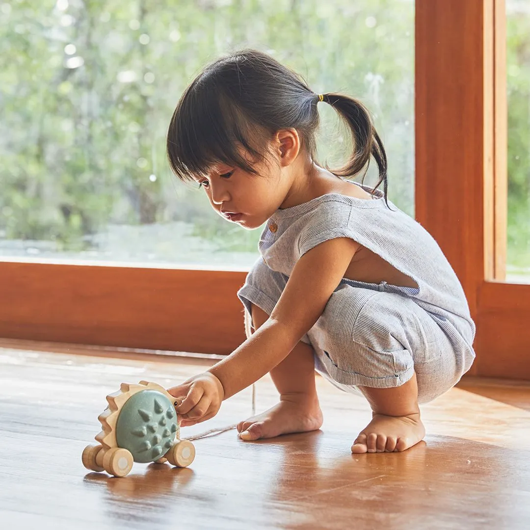 PlanToys Hérisson bleu jouet à tirer 12 mois