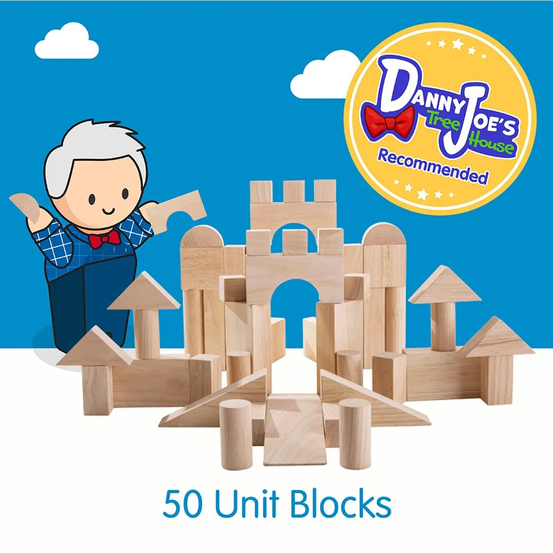 PlanToys 50 Unit Blocks cubes construction bois 18 mois