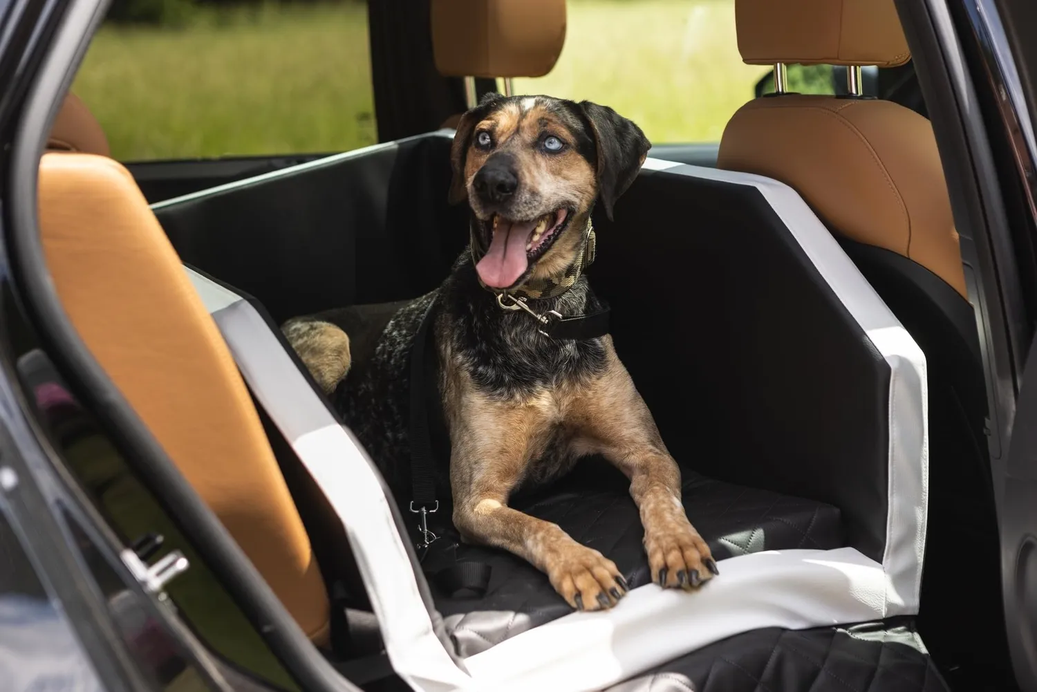 Velinda lit de coffre transporteur chien noir 55x70 imperméable