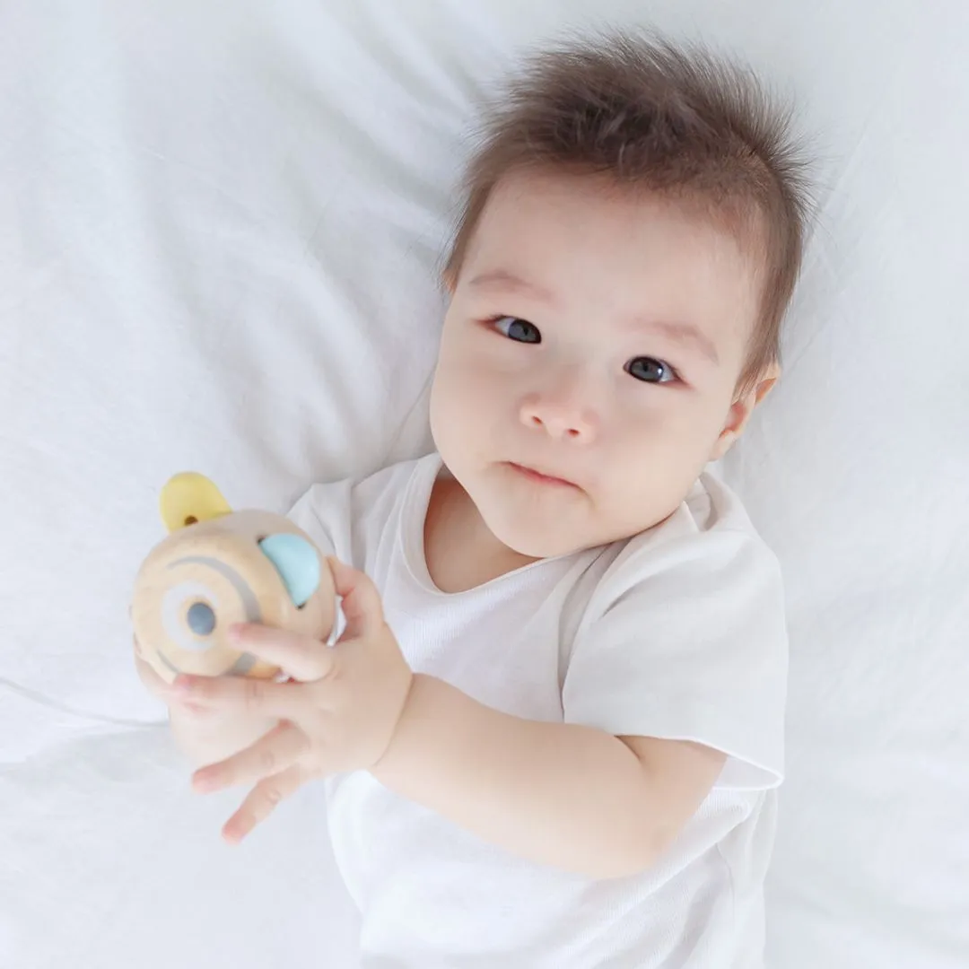 PlanToys Peek-A-Boo Roller rouleau bébé bois 6 mois