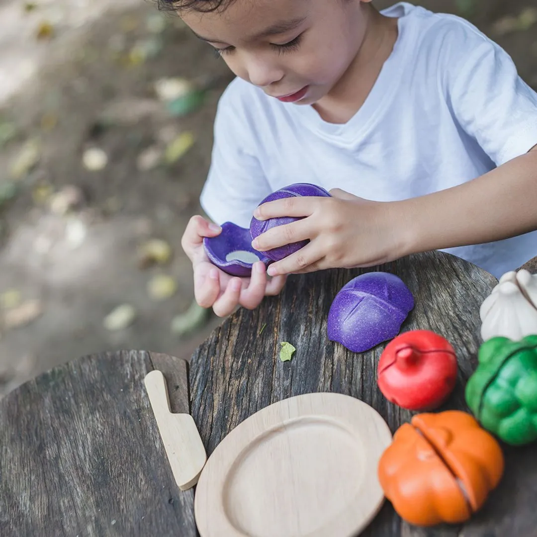 PlanToys Veggie dinette légumes à découper 5 couleurs