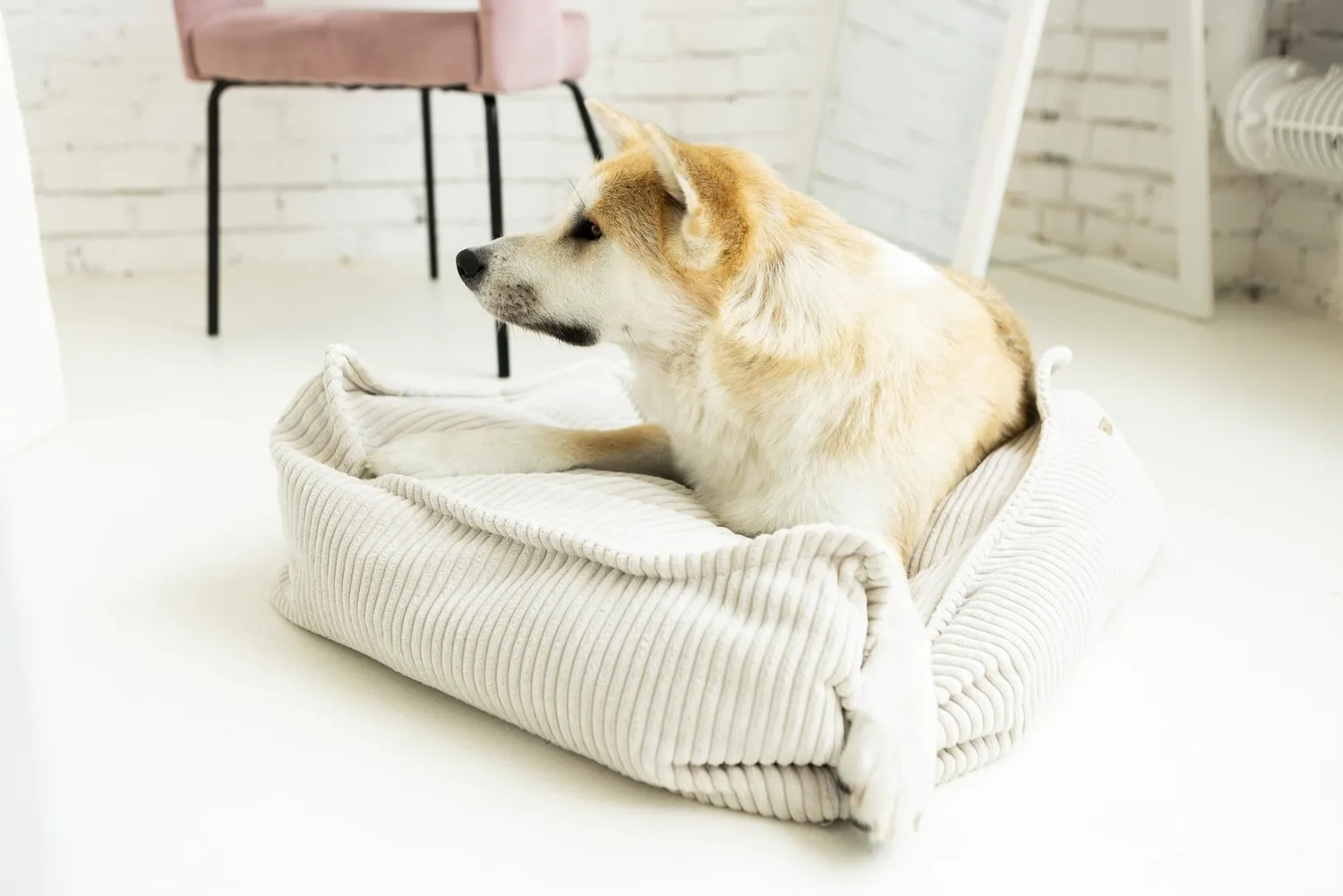 Velinda Coussin Douillet panier chien crème 60x60 antidérapant