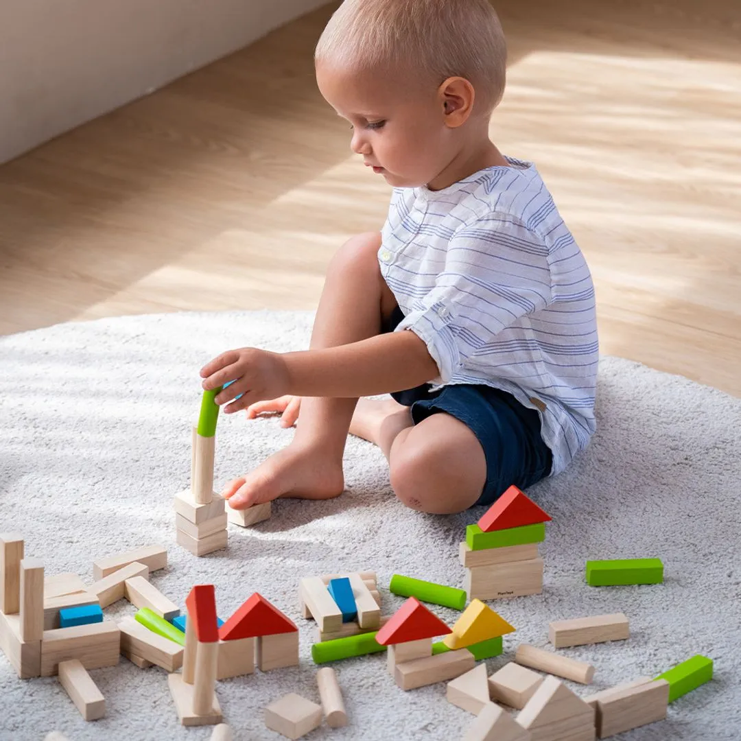 PlanToys Unit Blocks 40 blocs de construction en bois colorés