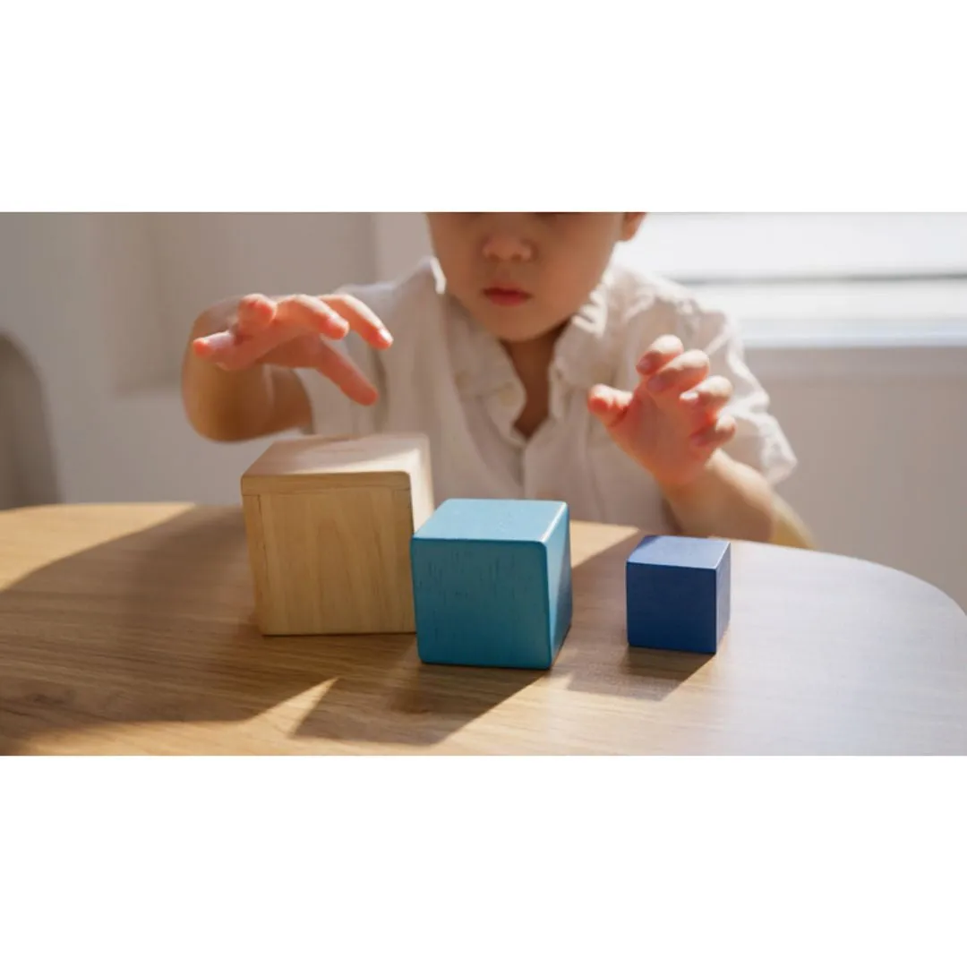 PlanToys Nesting Boxes cubes à empiler dès 12 mois