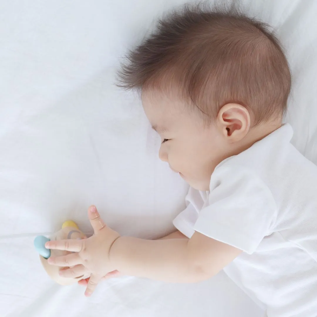 PlanToys Peek-A-Boo Roller rouleau bébé bois 6 mois