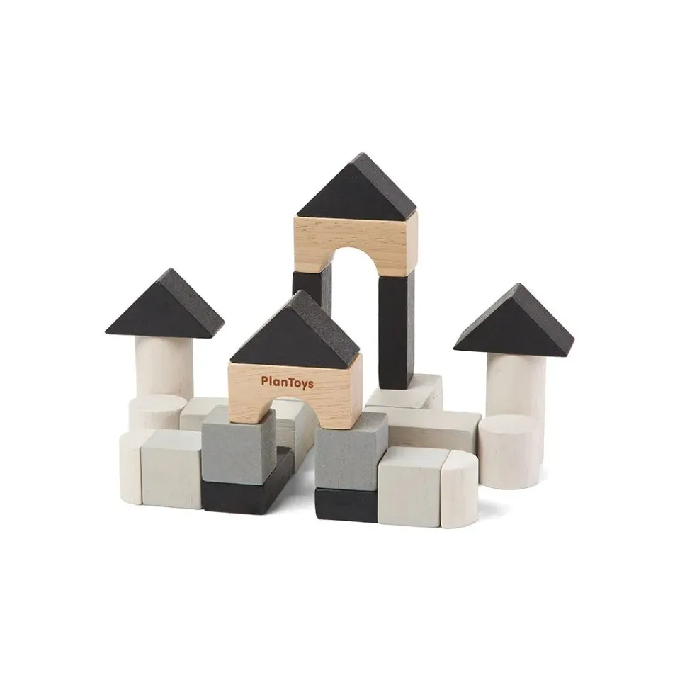 PlanToys PlanMini Construction Set jeu 24 blocs