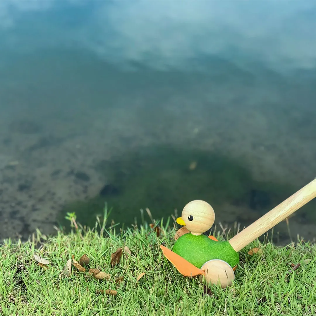 PlanToys Push Along Duck canard à pousser bois